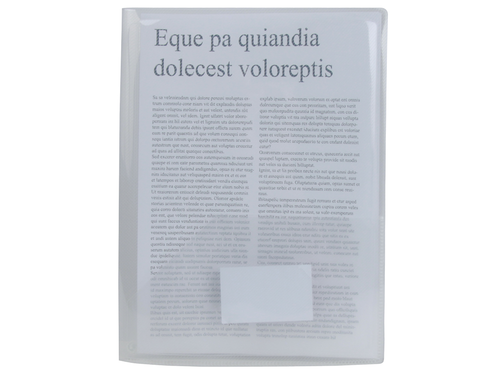 CARPETA LIDERPAPEL DOSSIER DOS BOLSAS 35584 POLIPROPILENODIN A4 INCOLORA