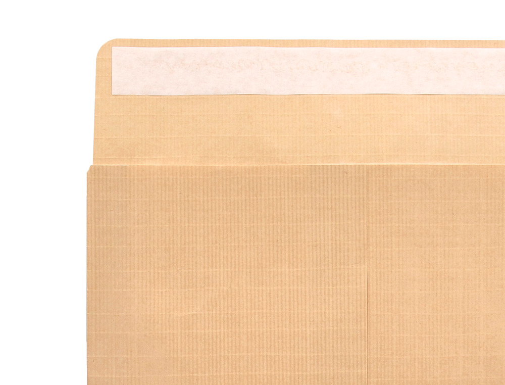 SOBRE LIDERPAPEL BOLSA N.5 KRAFT DIN C5 162X229 MM TIRA DE SILICONA CAJA DE 250 UNIDADES