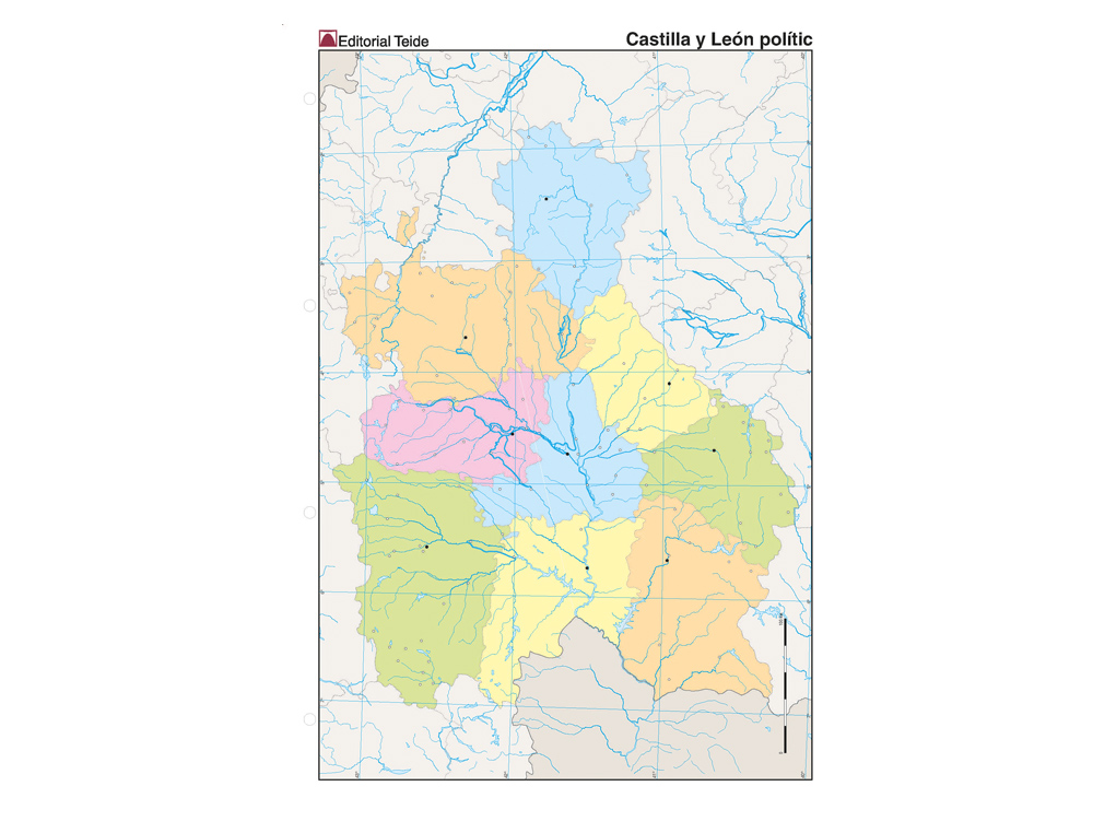 MAPA MUDO COLOR DIN A4 CASTILLA-LEON POLITICO